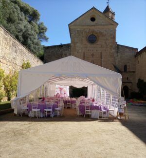 Carpa 6x12 XXL PRO - Imagen 5