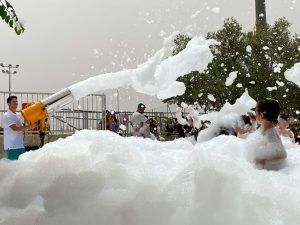 CAÑÓN DE ESPUMA - Imagen 9