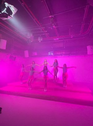 MOQUETA ROSA - Imagen 4