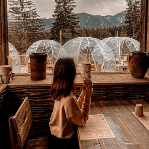 CARPA GEODÉSICA PVC - Imagen 4