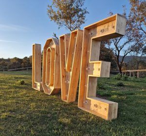 LETRAS DE MADERA CON LUZ - Imagen 21