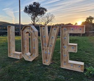 LETRAS DE MADERA CON LUZ - Imagen 22