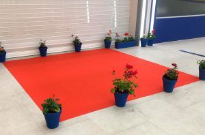 moqueta o alfombra roja para eventos