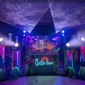 CABINA PARA DJ - Imagen 13